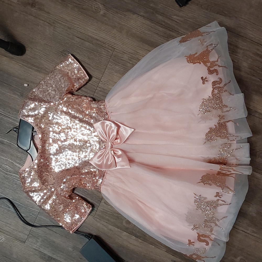 Pink Zunie Carosell Dress